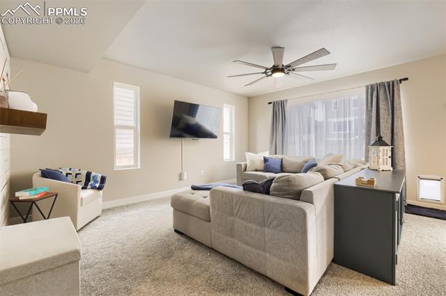 MLS Image for 10717  Luneth  ,Colorado Springs, Colorado