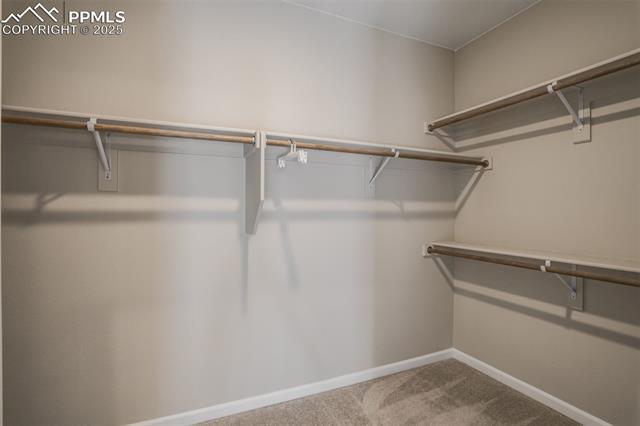MLS Image for 1341  Solitaire  ,Colorado Springs, Colorado