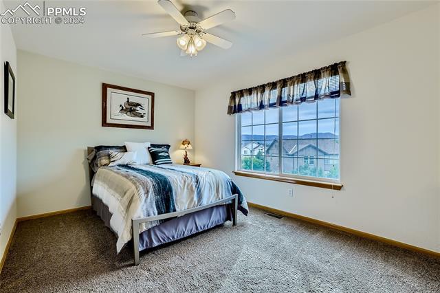 MLS Image for 735  Witchhazel  ,Colorado Springs, Colorado