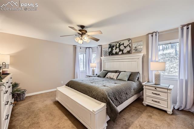 MLS Image for 7465  Winding Oaks  ,Colorado Springs, Colorado