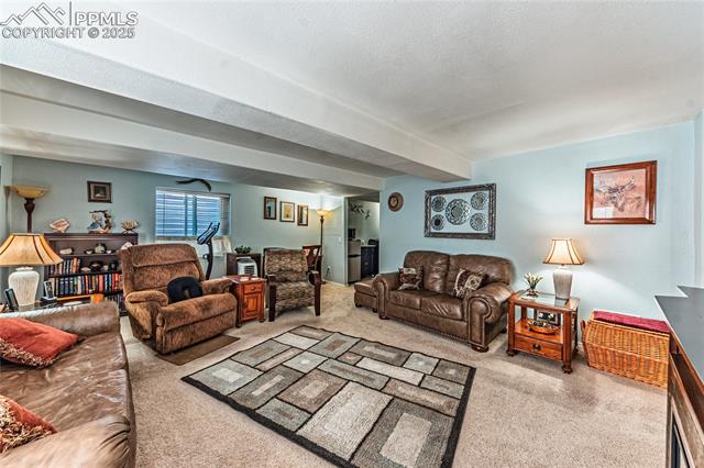 MLS Image for 3993  Happy Jack  ,Colorado Springs, Colorado