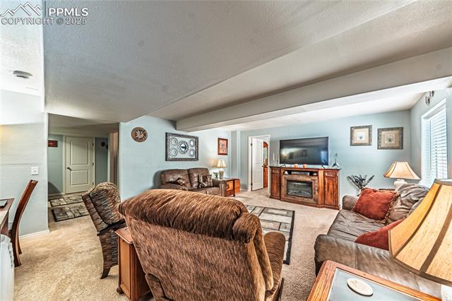 MLS Image for 3993  Happy Jack  ,Colorado Springs, Colorado