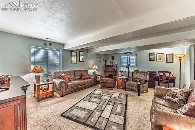MLS Image for 3993  Happy Jack  ,Colorado Springs, Colorado
