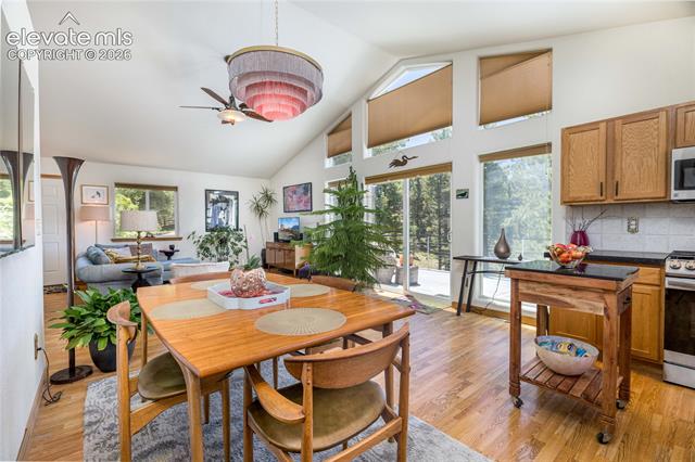 MLS Image for 161  Wahsatch  ,Florissant, Colorado