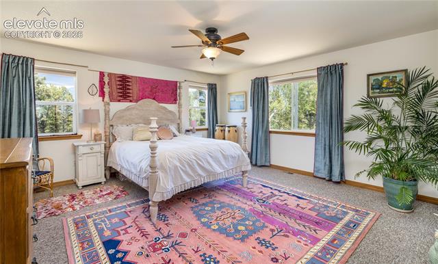 MLS Image for 161  Wahsatch  ,Florissant, Colorado