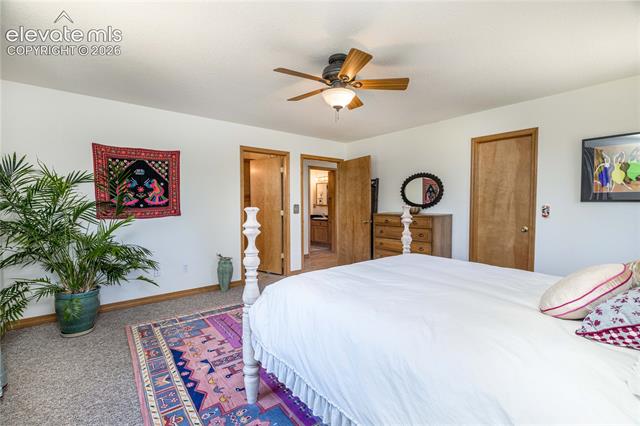 MLS Image for 161  Wahsatch  ,Florissant, Colorado