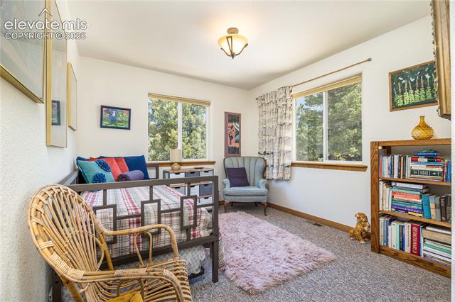 MLS Image for 161  Wahsatch  ,Florissant, Colorado