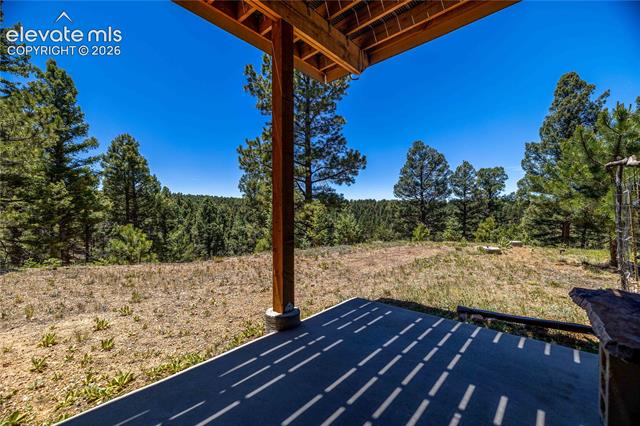 MLS Image for 161  Wahsatch  ,Florissant, Colorado
