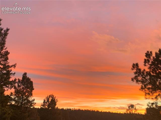 MLS Image for 161  Wahsatch  ,Florissant, Colorado