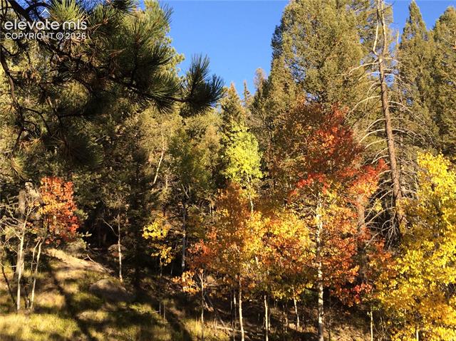 MLS Image for 161  Wahsatch  ,Florissant, Colorado