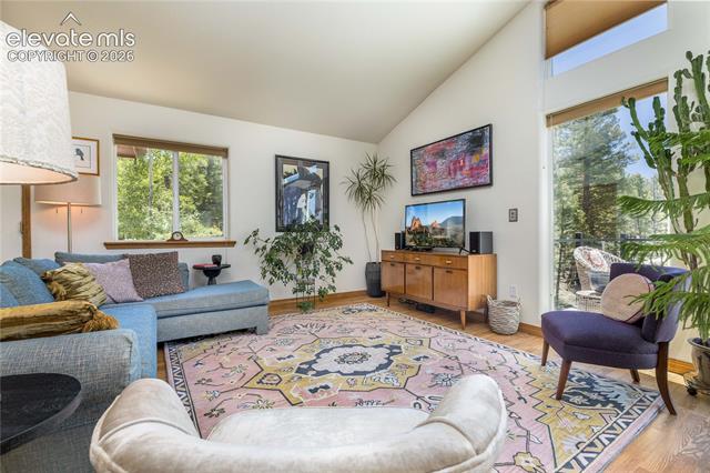 MLS Image for 161  Wahsatch  ,Florissant, Colorado