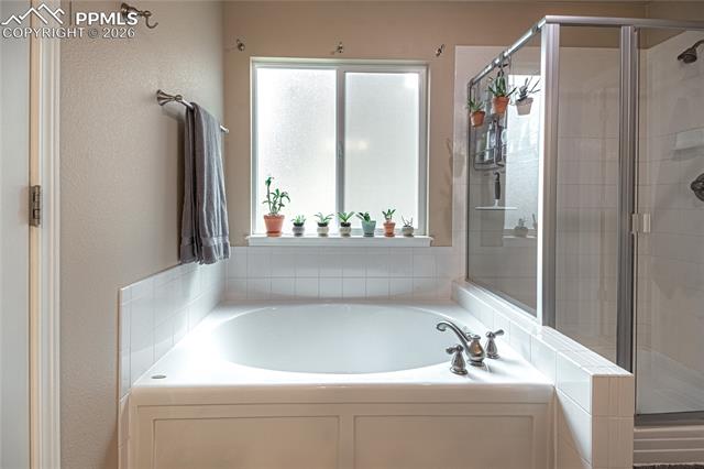 MLS Image for 9331  Rock Pond  ,Colorado Springs, Colorado