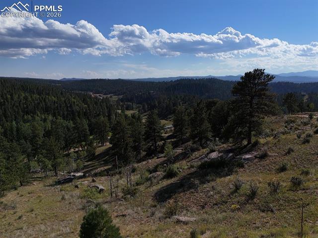 MLS Image for 4687 W Highway 24  ,Florissant, Colorado