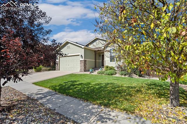 MLS Image for 6380  Tenderfoot  ,Colorado Springs, Colorado