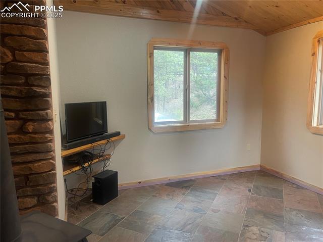 MLS Image for 110  Wallace  ,Florissant, Colorado