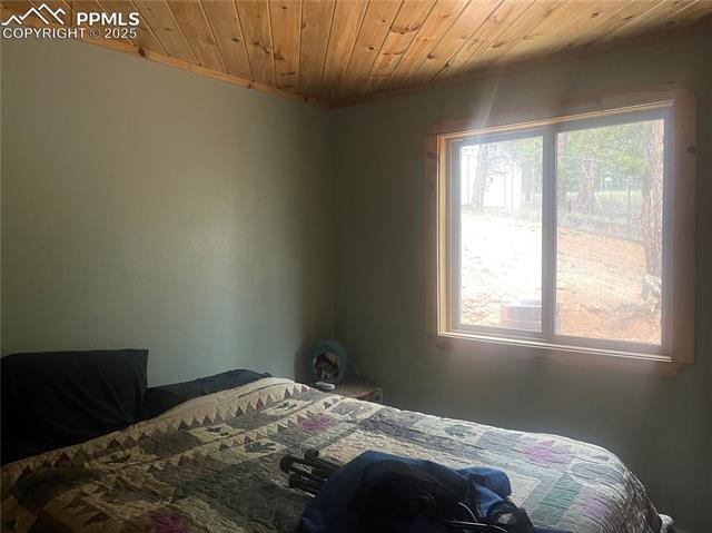 MLS Image for 110  Wallace  ,Florissant, Colorado