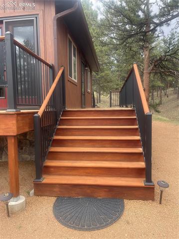 MLS Image for 110  Wallace  ,Florissant, Colorado