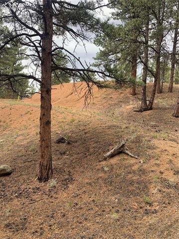 MLS Image for 110  Wallace  ,Florissant, Colorado