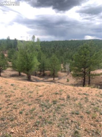 MLS Image for 110  Wallace  ,Florissant, Colorado