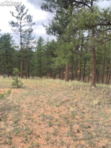 MLS Image for 110  Wallace  ,Florissant, Colorado