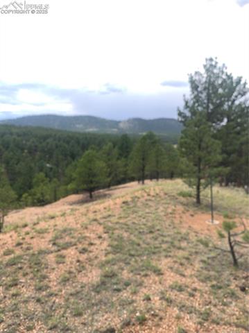 MLS Image for 110  Wallace  ,Florissant, Colorado
