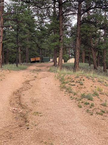 MLS Image for 110  Wallace  ,Florissant, Colorado