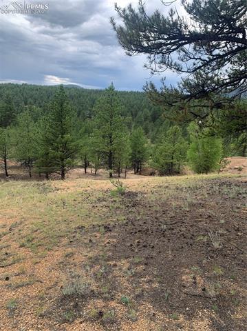 MLS Image for 110  Wallace  ,Florissant, Colorado