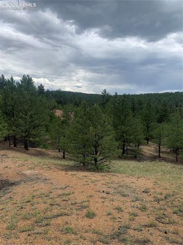 MLS Image for 110  Wallace  ,Florissant, Colorado