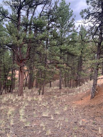 MLS Image for 110  Wallace  ,Florissant, Colorado