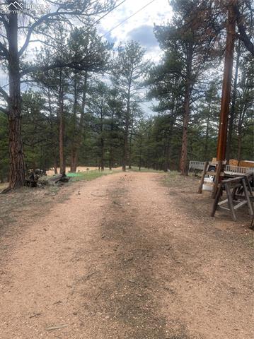 MLS Image for 110  Wallace  ,Florissant, Colorado