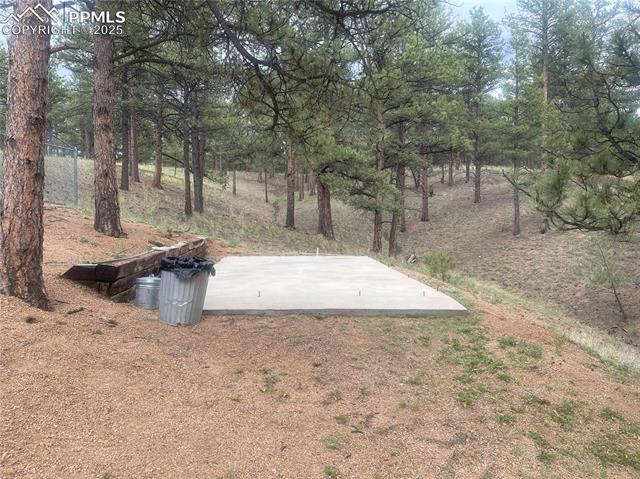 MLS Image for 110  Wallace  ,Florissant, Colorado