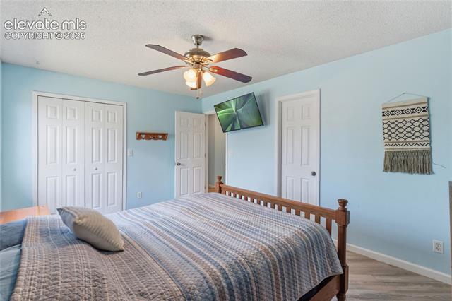MLS Image for 3955  Rosemere  ,Colorado Springs, Colorado