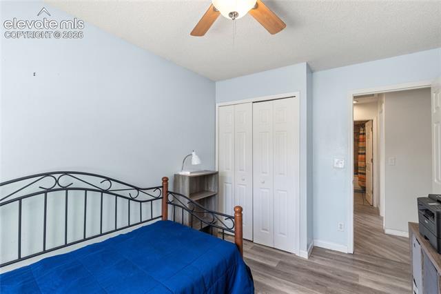 MLS Image for 3955  Rosemere  ,Colorado Springs, Colorado