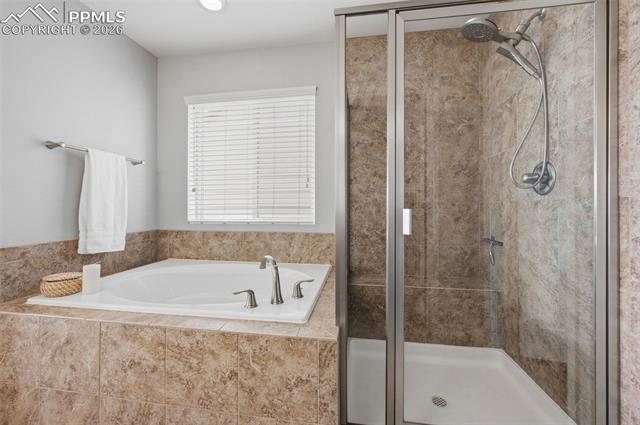 MLS Image for 6668  Maple Stone  ,Colorado Springs, Colorado