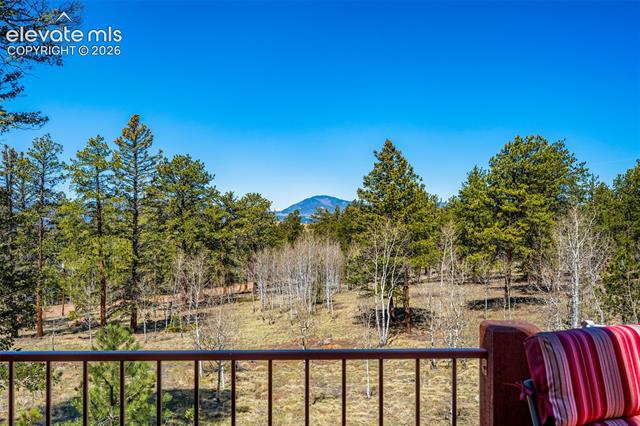 MLS Image for 417  Beaver Creek  ,Florissant, Colorado