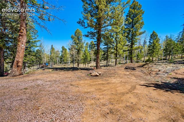 MLS Image for 417  Beaver Creek  ,Florissant, Colorado