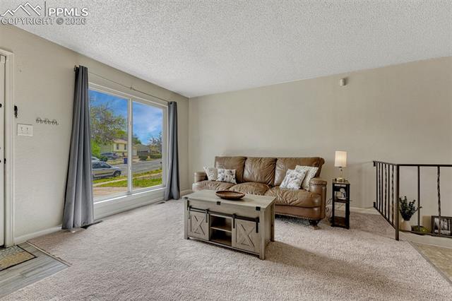 MLS Image for 4079  Morley  ,Colorado Springs, Colorado