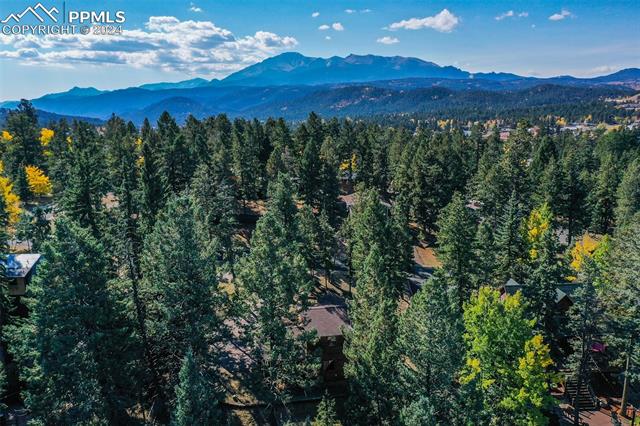 MLS Image for 250 E Gunnison  ,Woodland Park, Colorado