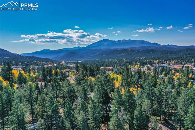 MLS Image for 250 E Gunnison  ,Woodland Park, Colorado