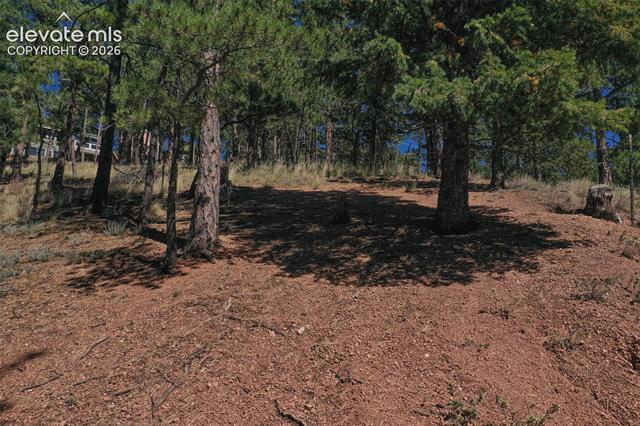 MLS Image for 181  Valley  ,Woodland Park, Colorado