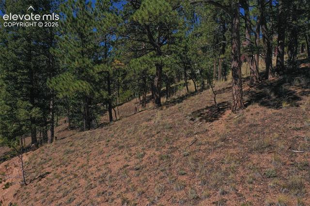 MLS Image for 181  Valley  ,Woodland Park, Colorado
