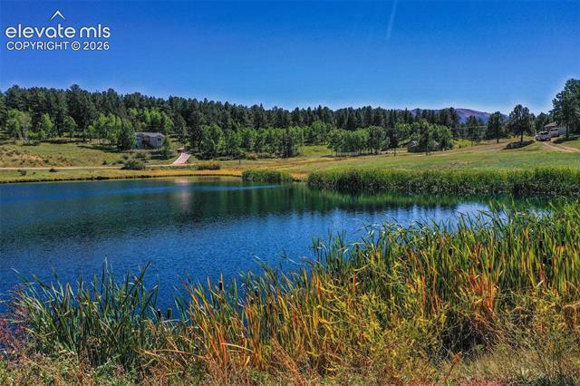 MLS Image for 181  Valley  ,Woodland Park, Colorado