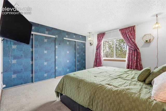MLS Image for 3820  Soft Breeze  ,Colorado Springs, Colorado