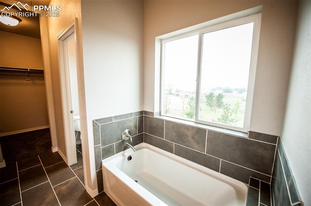 MLS Image for 4350  Siferd  ,Colorado Springs, Colorado