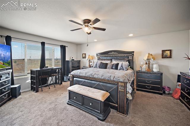 MLS Image for 8931  Pennycress  ,Colorado Springs, Colorado