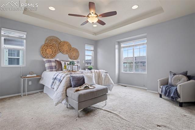 MLS Image for 1616  Rustlers Roost  ,Colorado Springs, Colorado