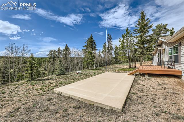 MLS Image for 145  Wildcat Creek  ,Florissant, Colorado