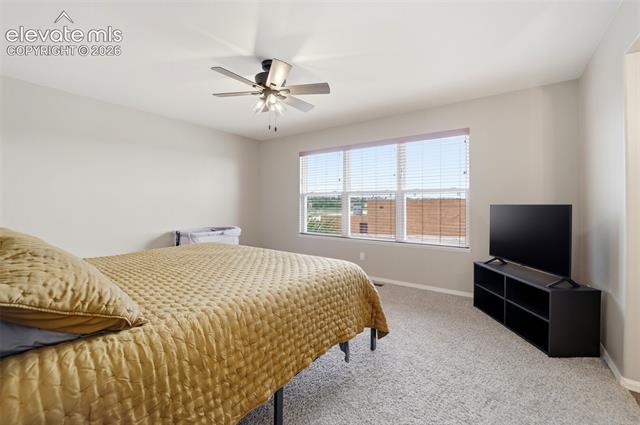 MLS Image for 1108  Scarlet Oak  ,Colorado Springs, Colorado