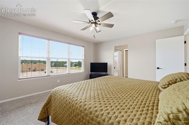 MLS Image for 1108  Scarlet Oak  ,Colorado Springs, Colorado