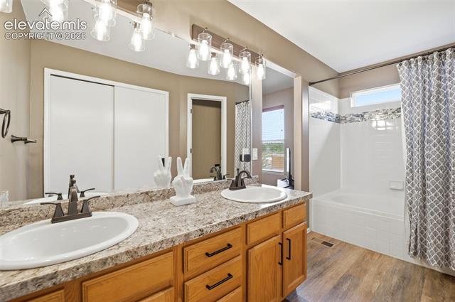 MLS Image for 1108  Scarlet Oak  ,Colorado Springs, Colorado